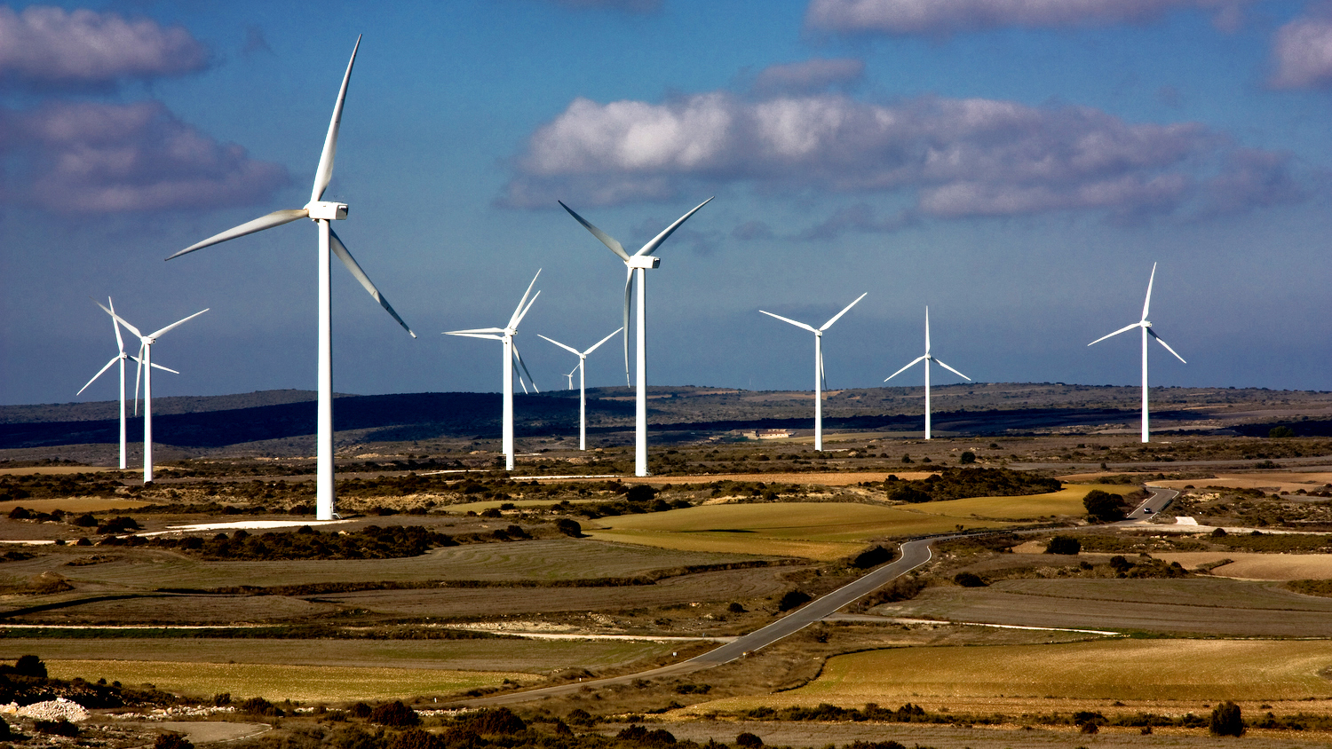 a field of wind turbines
