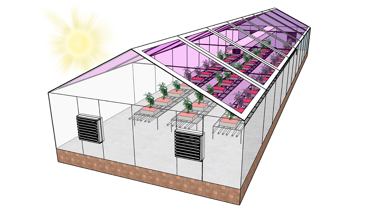 diagram of a greenhouse with translucent solar panels on the roof.